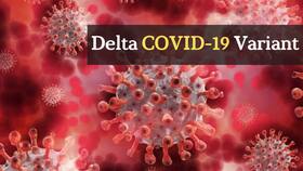 Delta COVID-19 Variant Super Infectious, Can Lead To Higher Number of Hospitalisations, Experts Warn