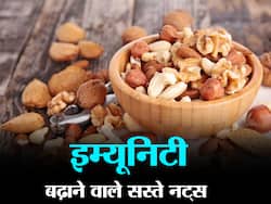 डाइट में शामिल होंगे ये सस्ते नट्स तो इम्यूनिटी के साथ बॉडी भी होगी स्ट्रॉन्ग, जानें कौन से नट्स सबसे हेल्दी