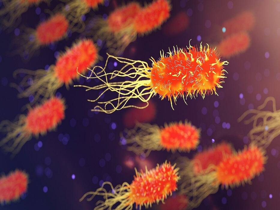 6 Things You Didn't Know About Your Body Temperature