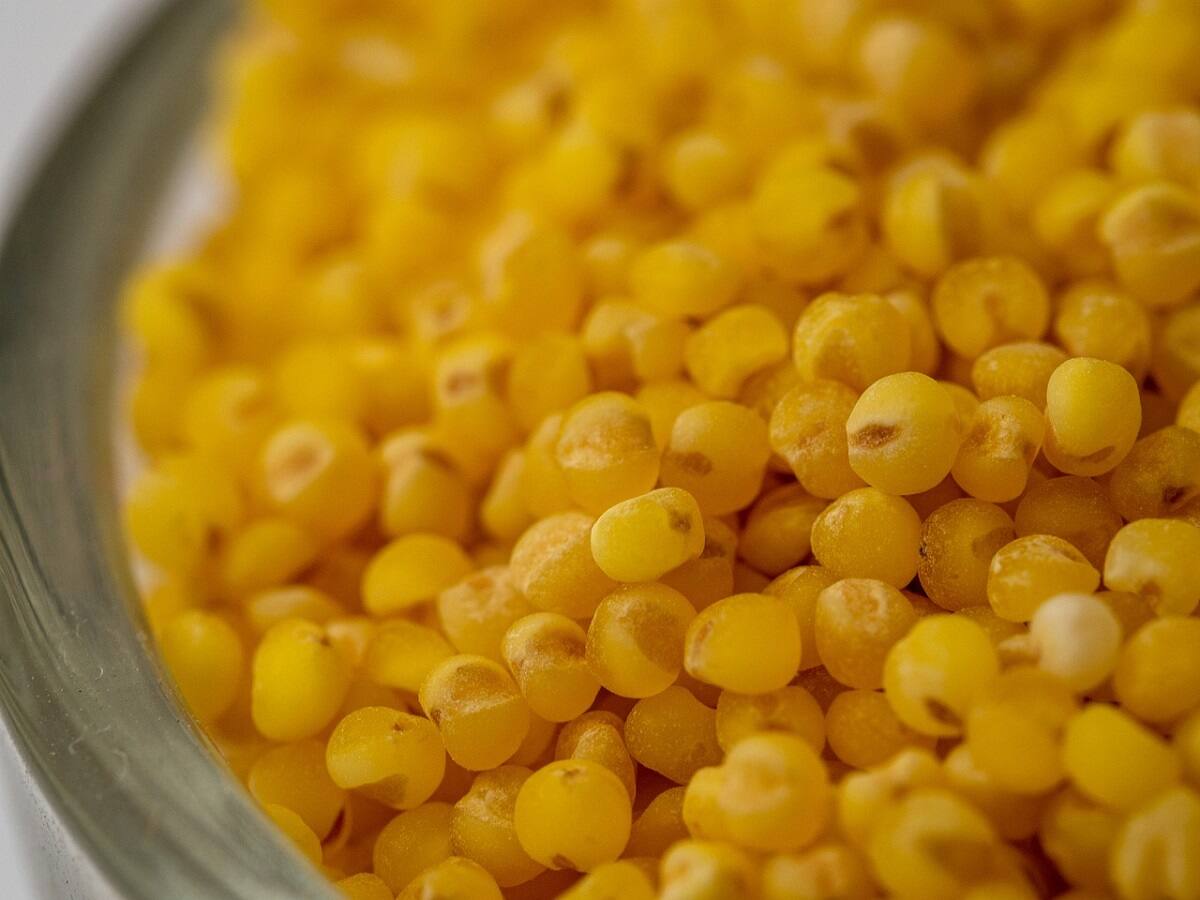 Millet May Help Manage Blood Sugar Levels