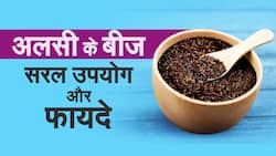 Health Benefits Of Flax Seeds : जानिए अलसी के बीज के बेमिसाल फायदों के बारे में, वीडियो देखें
