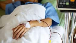 Not Just Chemotherapy, Blood Stem Cell Transplant Can Potentially Treat Blood Cancer