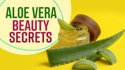 Aloe Vera Skincare Benefits | Why You Need To Say Yes To Aloe Today