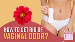 How to Get Rid of Vaginal Odor? | Ways to Reduce Vaginal Odor