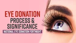 Eye Donation: How Can You Pledge Eyes? | Eye Donation Process And Importance
