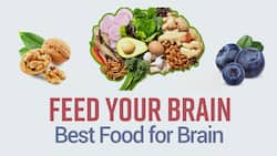 Food For Brain | Best Food To Boost Your Memory | Watch Now