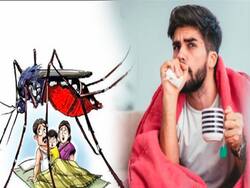 Dengue India Live Update: उत्तर प्रदेश के इन जिलों में मिल रहा है फ्री प्लेटलेट्स, NGO कर रहे मदद