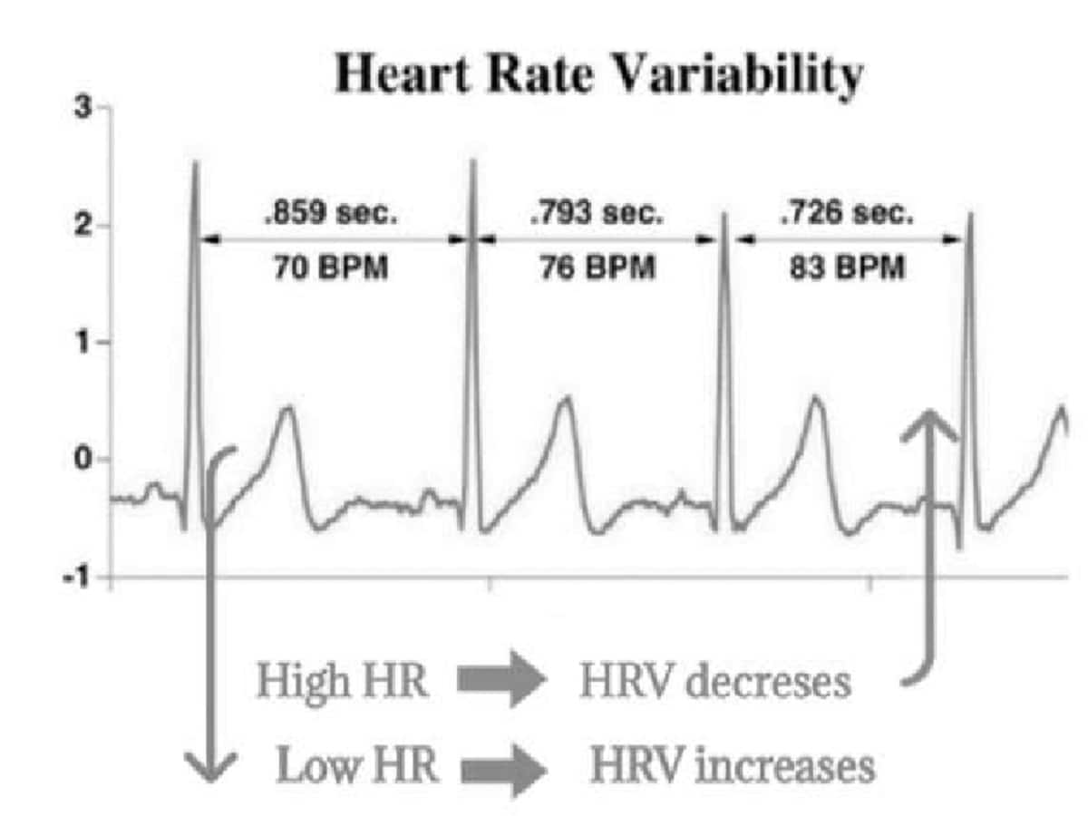 What is Heart Rate Variability (HRV) & why does it matter?