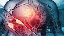 High Cholesterol Can Severely Damage Your Heart: Doctor Shares Easy Steps To Keep Cholesterol Under Control