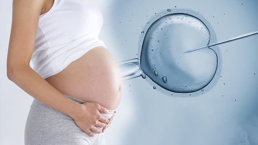 IVF Treatment: Significance Of Patient Education In IVF Procedure ...