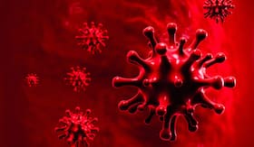 COVID-19 Live Updates: Tiny Antibodies From llamas Can Potentially Treat Coronavirus, Says Study