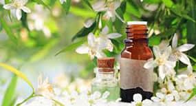 Neroli Oil Health Benefits: डिप्रेशन और हाई ब्लड प्रेशर का आयुर्वेदिक इलाज है निरोली ऑइल, इस पेड़ की पत्तियों और फूलों से बनता है यह गुणकारी तेल