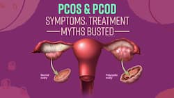 What is PCOD And PCOS? Everything You Need To Know | Watch Video