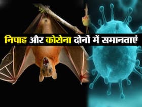 कोरोनावायरस से कितना मिलता-जुलता है निपाह वायरस, जानिए दोनों वायरस के बीच कौन-कौन से लक्षण हैं समान