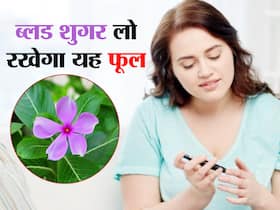Sadabahar or periwinkle for diabetes: सदाबहार का फूल और पत्तियां हैं डायबिटीज का रामबाण इलाज, जानें सेवन के तरीके