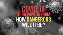 Third COVID-19 Wave: New Variants To Spike In Daily Cases, Expert Reveals How Another Coronavirus Wave Could Look Like