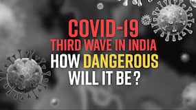 Third COVID-19 Wave: New Variants To Spike In Daily Cases, Expert Reveals How Another Coronavirus Wave Could Look Like