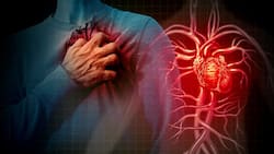 What Causes Heart Failure? High Blood Pressure And Other Contributing Factors You Should Know