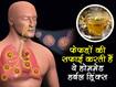 Herbal Drinks For Strong Lungs: फेफड़ों की सफाई कर उन्‍हें मजबूत बनाती हैं ये 4 हर्बल ड्रिंक्‍स, जानिए घर में बनाने का तरीका