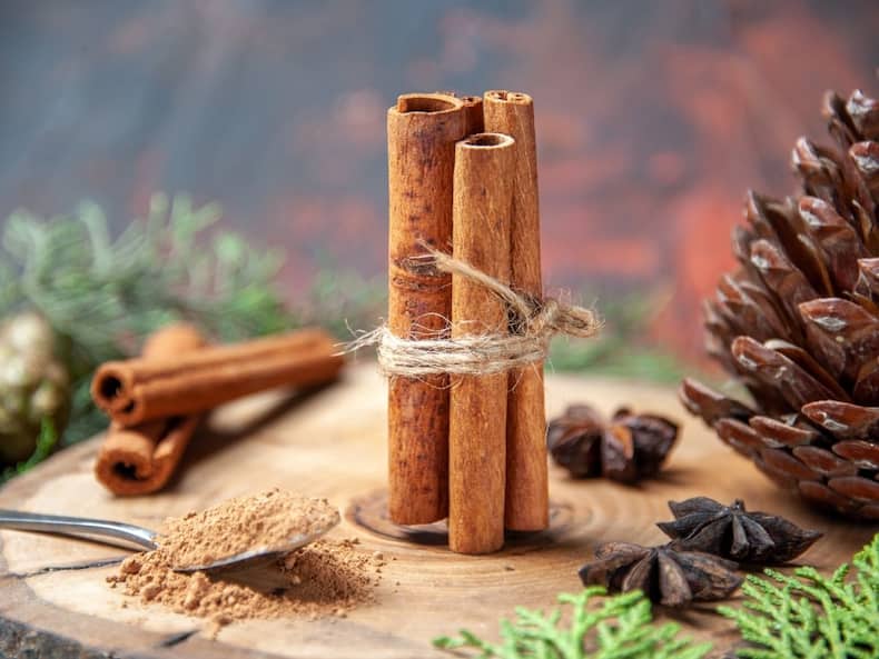 Herbs For Healthy Heart Function: हार्ट की प्रॉब्लम से कोसों दूर रखती हैं ये 5 औषधियां, दिल रोगियों के लिए है फायदेमंद