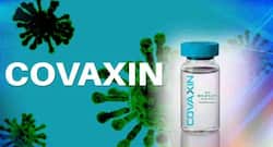Covaxin News: भारत बायोटेक की कोवैक्सीन उत्पादन में लगातार गिरावट दर्ज, डब्लूएचओ से इमरजेंसी यूज के लिए नहीं मिली मंजूरी