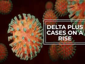 About 300 New Delta Plus Cases Found In India, A Rise From The Initial Number About 300 New Delta Plus Cases Found In India, A Rise From The Initial Number