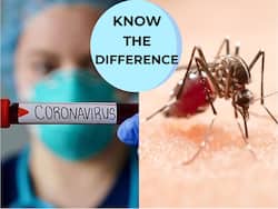 Misdiagnosis Of Covid A Problem, Know The Difference As Dengue Can Sting Harder