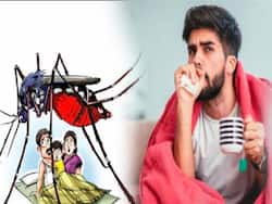 Tips For Dengue And Malaria Patients: मलेरिया और डेंगू से जल्द रिकवरी के लिए काम आएंगी रुजुता दिवेकर की 5 टिप्स , आज से करें फॉलों