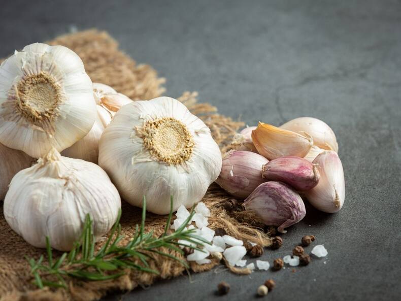 Herbs For Healthy Heart Function: हार्ट की प्रॉब्लम से कोसों दूर रखती हैं ये 5 औषधियां, दिल रोगियों के लिए है फायदेमंद