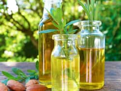 Oils to Prevent Hair Fall: इन तेलों को एक साथ मिलाकर लगाएं, बालों के झड़ने की समस्या होगी दूर