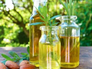 Oils to Prevent Hair Fall: इन तेलों को एक साथ मिलाकर लगाएं, बालों के झड़ने की समस्या होगी दूर Oils to Prevent Hair Fall: इन तेलों को एक साथ मिलाकर लगाएं, बालों के झड़ने की समस्या होगी दूर