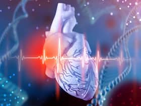 World Heart Day: 80% Diabetics Develop Cardiovascular Diseases; Ways You Can Maintain Heart Health