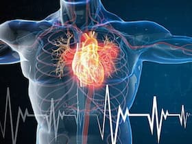 World Heart Day 2021: Heart Failure Care In The Times Of COVID-19