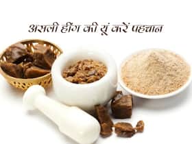 खाएंगे नकली हींग तो सेहत होगी खराब, यूं करें असली-नकली हींग की पहचान
