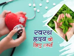 Herbs For Healthy Heart Function: हार्ट की प्रॉब्लम से कोसों दूर रखती हैं ये 5 औषधियां, दिल रोगियों के लिए है फायदेमंद