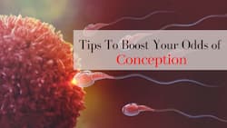 How To Increase Your Chances of Getting Pregnant: 5 Tips To Boost Your Odds of Conception