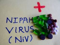 Nipah Virus: शोधकर्ताओं का दावा, कोविशील्ड जैसी वैक्सीन निपाह वायरस से लड़ने में कर सकती है मदद