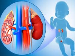 Urology Awareness Month:  Everything That Parents Need To Know About Pediatric Urology