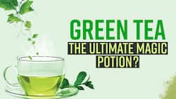 Green Tea: Why Is It A Magic Potion? | Green Tea & Weight Loss