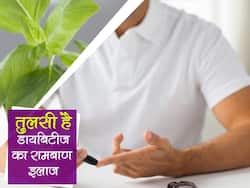 Tulsi Benefits For Diabetes :  तुलसी की पत्तियां चबाने से कम हो सकता है ब्लड शुगर लेवल, इन तरीकों से भी डायबिटीज में कर सकते हैं इसका सेवन