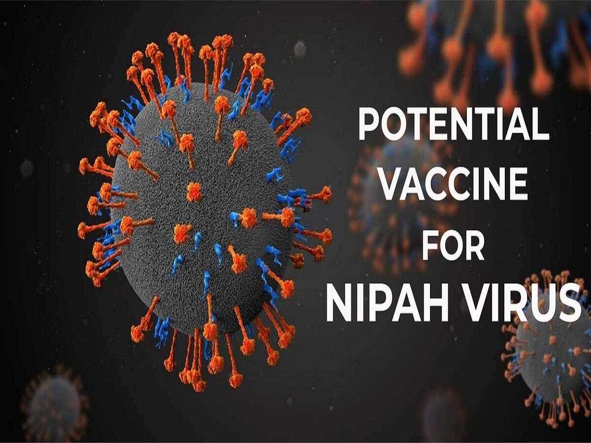 Nipah Virus Top And Latest News Articles Videos And Photo About Nipah Virus