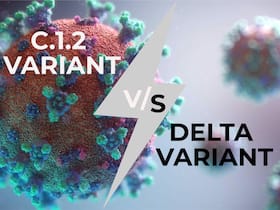Is C.1.2 Variant Of Covid More Dangerous Than Delta Variant?