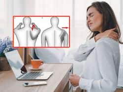 Work From Home Spikes Sick Scapula Syndrome Cases Among Young Adults; Know All About It