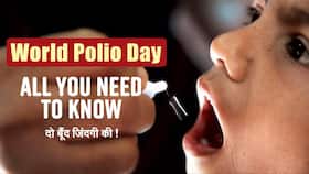 World Polio Day: Everything That You Need To Know | Polio Vaccination Drive In Afghanistan World Polio Day: Everything That You Need To Know | Polio Vaccination Drive In Afghanistan