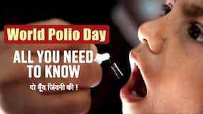 World Polio Day: Everything That You Need To Know | Polio Vaccination Drive In Afghanistan