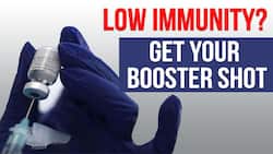 Covid-19 Booster Shot: Booster Shot For People With Low Immunity, Watch Video