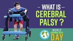 World Cerebral Palsy Day 2021 | Cerebral Palsy: Everything You Need To Know