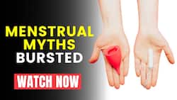 Menstrual Myths: Does Menstrual Cup Hurts More? Watch This As We Burst All The Myths