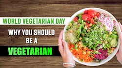 Vegetarian Diet: Everything You Need To Know | Vegetarian Vs Non Vegetarian