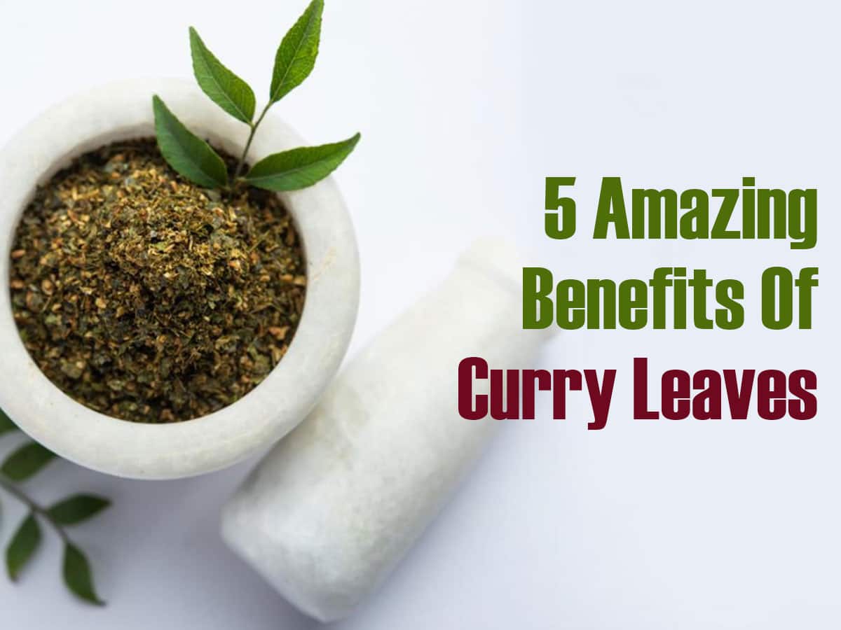 Why You Should Add Curry Leaves To Your Diet